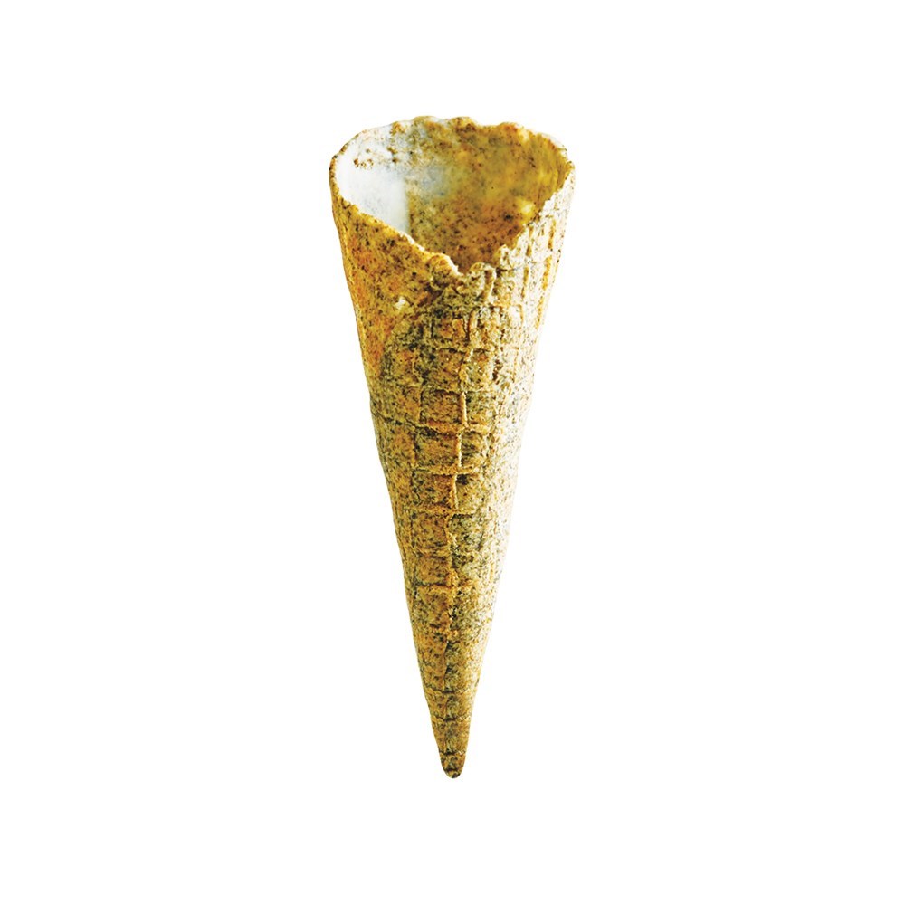 N-Line Medium Seaweed Cone 72's*