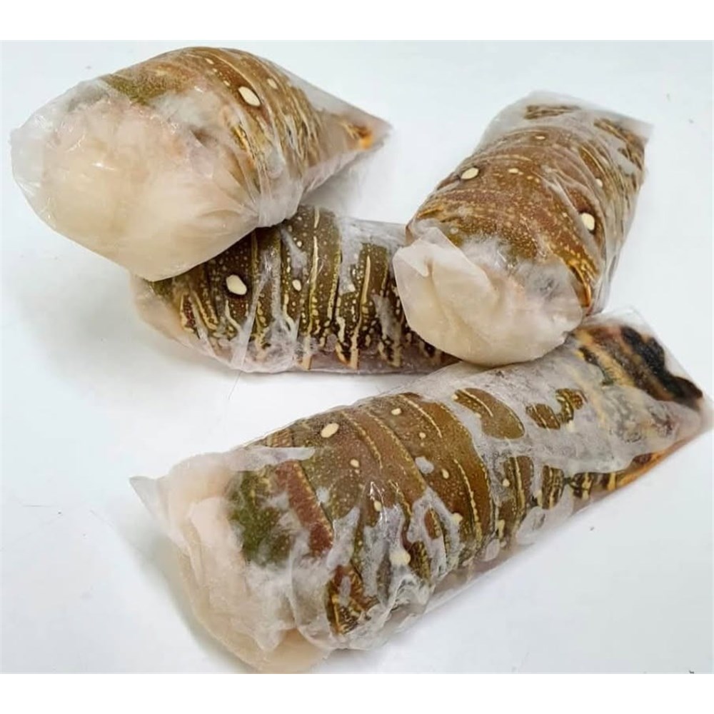 Lobster Tails Frozen 10-12oz RW* (I)