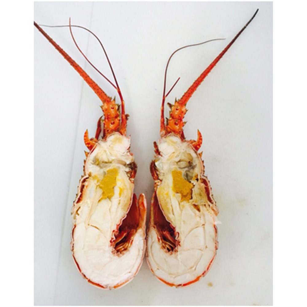 Lobster Halves Cooked Clean Brazil App13x200g RW*