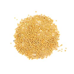 Mustard SEED Yellow 1K (10)