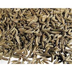 Caraway Seed 1K (12)