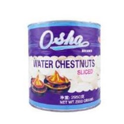 Water Chestnut Sliced A10 (6)