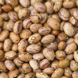 Borlotti Bean 1K (15)