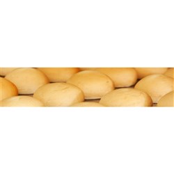 Par Cooked Blank Donut 100s*