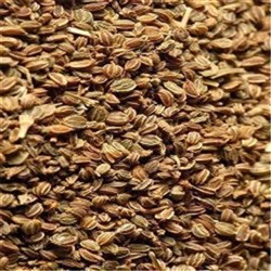 Celery Seed 1k (15)