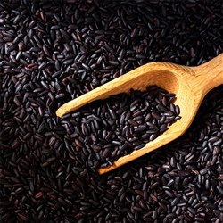 Black Rice 10k Short Grain Bulk