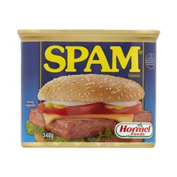 Spiced Spam 12x340g L