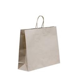 Carry Bag with Handle 250S BCB-F-T N