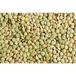 Lentil Green Whole 1K Aust (12)