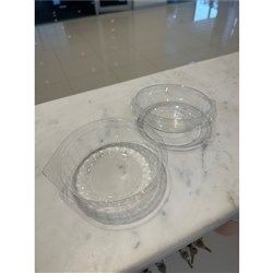 Show Bowl 8oz 250s Dome Lid SB8DL