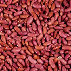 Red Kidney Bean Dried 1K (12)