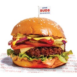 Burger Plant Based 125Gx36 GF VF DF N