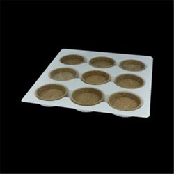 Vegan Gluten Free Shell Large Round Neutral N