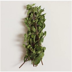 Oregano Bunch 40g With Stem