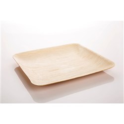 Dinner Plate LARGE SQUARE 12x10s RETAIL