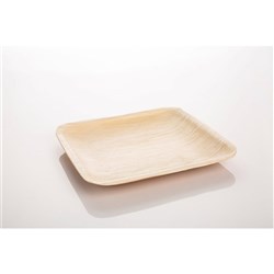 Plate Medium SQUARE 12x10s RETAIL