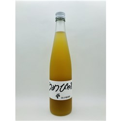 Ume Pure Syrup 500ml (6)*