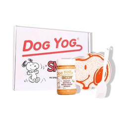 Pet Snoopy Gift Box 6s