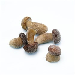 Frozen Porcini Mushroom 1kg 2-4cm (10)