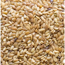 Linseed 1k (15)
