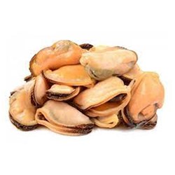 Mussel Meat Large 1K (12)