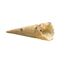 Vegan Cone Mini H65xD25mm 140s*