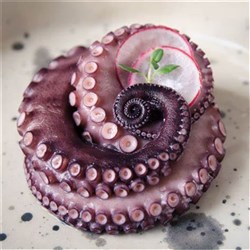 Octopus Tentacles Cooked 1K (5)