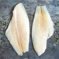 Flounder FLT S/On 113g+ AVG 4.5kg