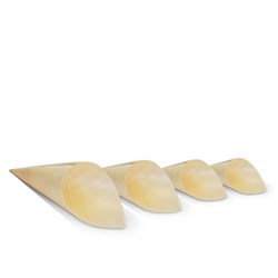 Pine Cone Large 50s 180x130mm (40) PC3