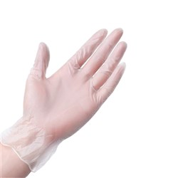 Vinyl Glove Powder Free Small 100s (10) 