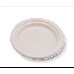 Bamboo Plate 10" 254mm Round 500s BYP10*