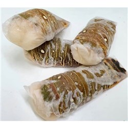 Lobster Tails Frozen RW* (I)