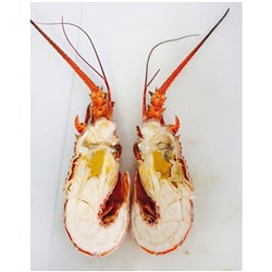 Lobster Halves Cooked Clean Brazil App13x200g RW*